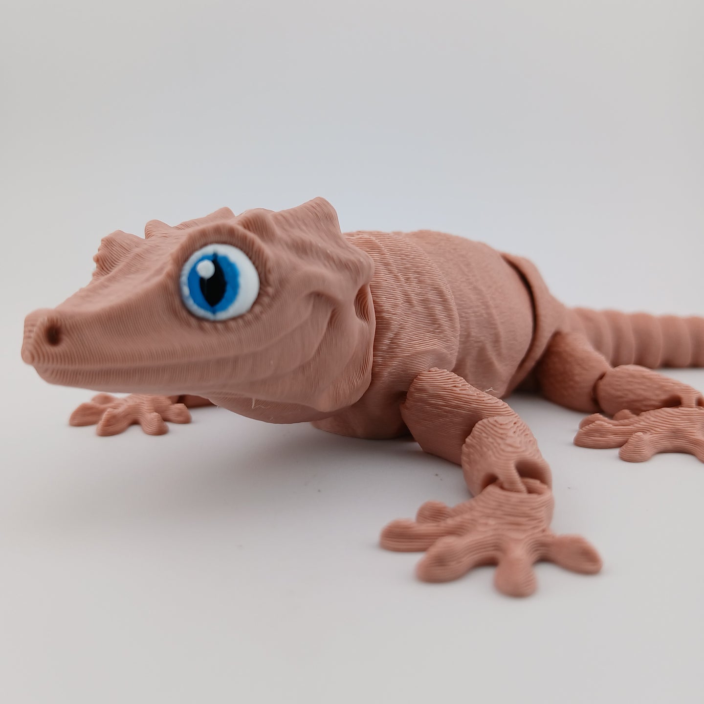 Gargoyle Gecko
